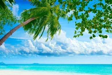 Sandy Beach Wallpapers HD   Android Apps On Google Play