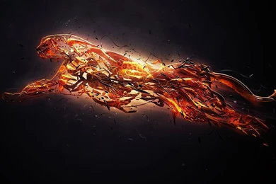 Stylized Leopard, Digital art, 1920x1080 HD Wallpapers And FREE ...