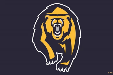 California Golden Bears   Wallpapers   California Golden Bears ...