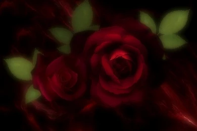 Burgundy Wallpapers 2015   Grasscloth Wallpapers