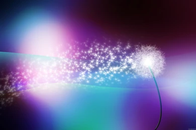 FULL HD (High Definition) Wallpapers, Pictures For Desktop ...