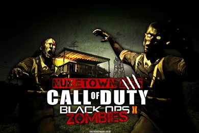 Call Of Duty Black Ops 2 Zombie HD Desktop Backgrounds