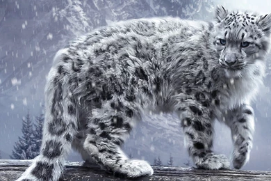 Disney Wallpapers For Iphone – Wallpapers