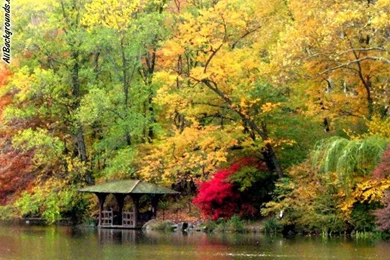 Fall Colors Backgrounds   Twitter & Myspace Backgrounds