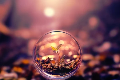 Download Little Sprout In A Bubble Wallpapers For IPad