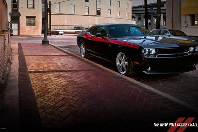 Dodge Challenger 2012, Retro, Dog, 1920x1080 HD Wallpapers And FREE ...