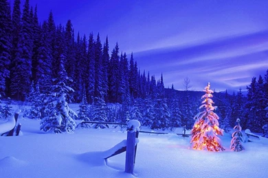 Merry Christmas   Christmas Wallpapers (32939522)   Fanpop