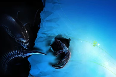 Alien... Windows   Wallpapers By Akinaro On DeviantArt