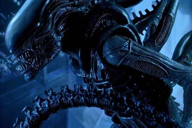 Aliens Movie 2160x2880 Wallpapers – Entertainment Movies HD Desktop ...