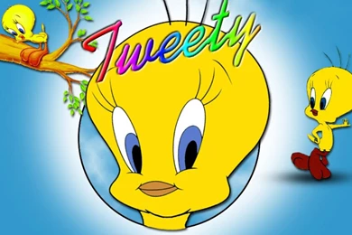 Free Tweety Bird Wallpapers   Wallpapers Cave