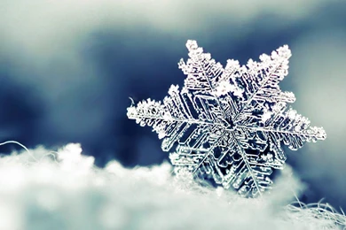 Snowflakes Wallpapers   Wallpapers Cave