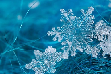 23+ Snowflakes Wallpapers, Snow Backgrounds, Pictures, Images ...