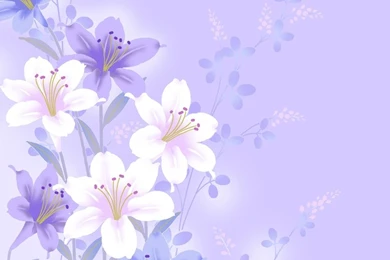 purple flowers backgrounds