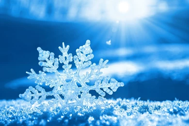Quality Snowflake Wallpapers, Nature
