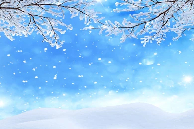 Winter Backgrounds Snowflakes Wallpapers HD Free Download