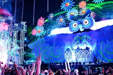 Electric Daisy Carnival Las Vegas 2013