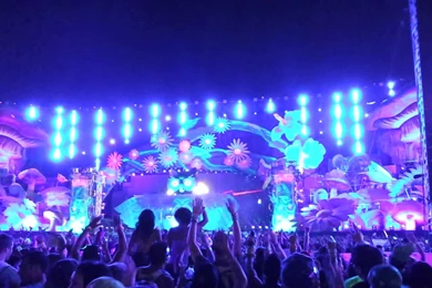 Electric Daisy Carnival Backgrounds