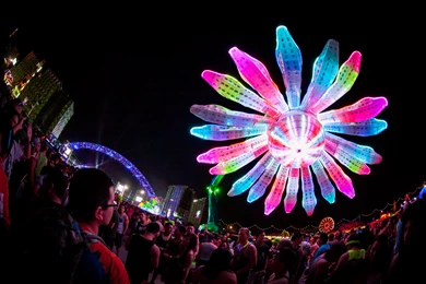 Electric Daisy Carnival Backgrounds