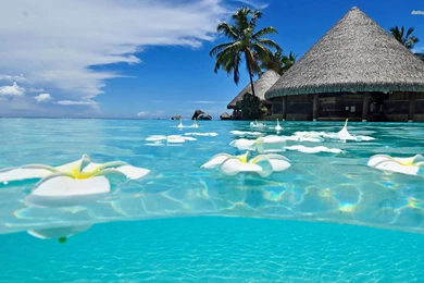 Beach HD Wallpapers, Waterscape Backgrounds