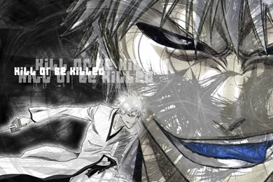Bleach Anime Ichigo