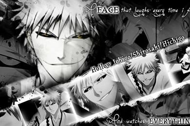 Bleach,Kurosaki Ichigo Bleach Kurosaki Ichigo Hollow Ichigo ...