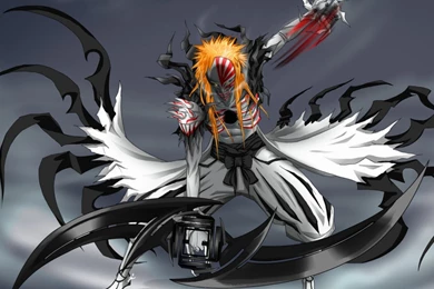 Anime Wallpaper: Hollow Ichigo Sempurna Wallpaper Images HD ...