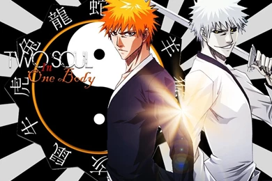 Bleach Hollow Ichigo – Anime Bleach HD Desktop Wallpapers