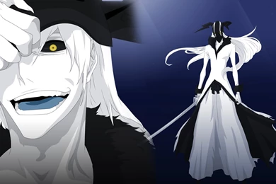 Hollow Ichigo Bleach