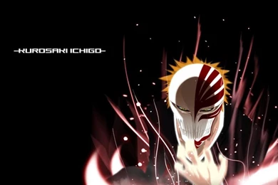 Ichigo Hollow Wallpapers