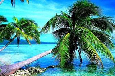 Wallpapers   HD Desktop Wallpapers Free Online: Breath Taking ...