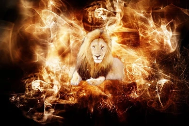 Wallpapers   HD Desktop Wallpapers Free Online: Fire Wallpapers ...