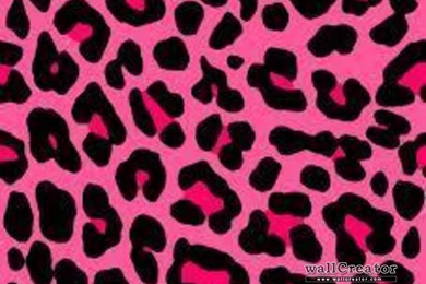 Cheetah Glefia.com Wallpapers