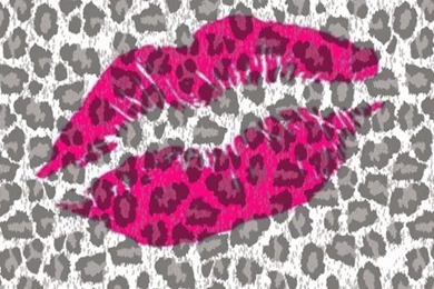 Cute Animal Print Wallpapers   Wallpapers Zone