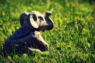 Indian Elephant Toy In The Grass Wallpapers