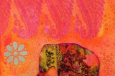 Indian Elephant On Pinterest