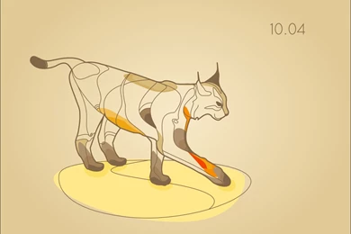 Name Related Wallpapers (eg. Hardy Heron)