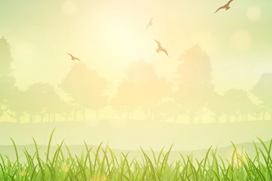 Nature Backgrounds Vectors, Photos And PSD Files