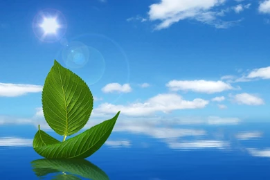 Beautiful Nature Images Pics Photos Wallpapers Free Download.