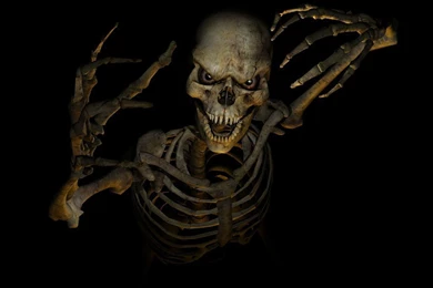 Halloween Skeleton Wallpapers Free : Other Wallpapers   Kokean.com