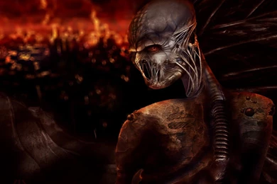 Wallpapers Evil Skeletons Free Skeleton 1280x1024