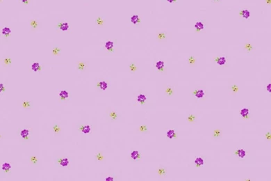 Pretty Pink Iphone Wallpapers