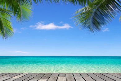 Beach Themed Backdrop Reviews   Online Shopping Beach Themed ...