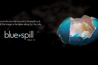 Anthony Brownmoore   Flame + Smoke Op