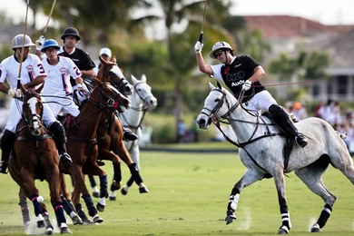 Download Wallpapers 2560x1440 Polo, Sportsmen, Blow, Horses, Game ...