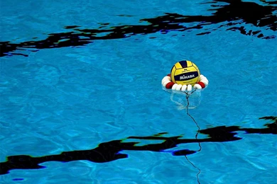 Water Polo Wallpapers   Wallpapers Cave