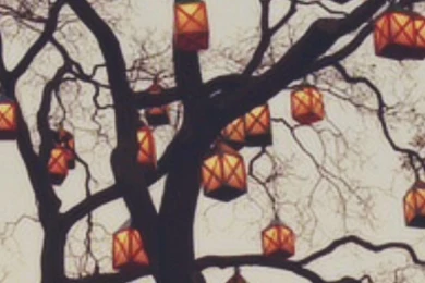 Tree Trees Coffee Fall Autumn Cozy Fox Sweaters Leaves Pumpkin ...