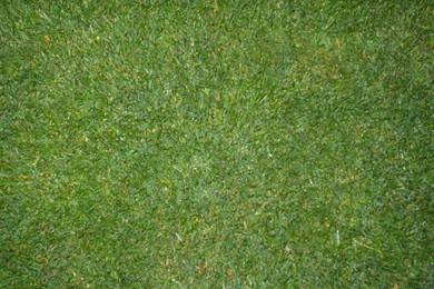 Free Background Images