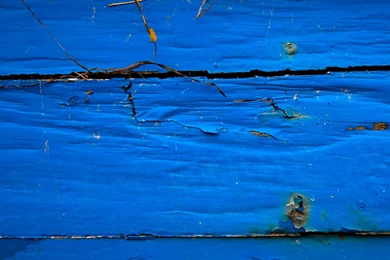 Royalty Free Images — Download Stock Photos