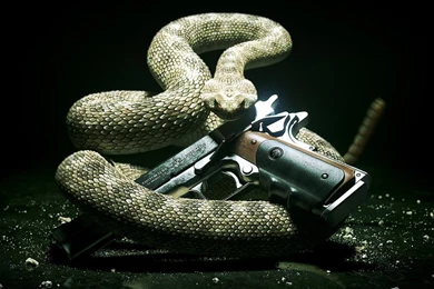 1080p Hd Wallpapers Collection (31+)