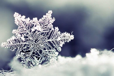 Quality Snowflake Wallpapers, Nature